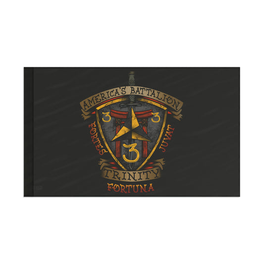 3/3 Americas Battalion Flag