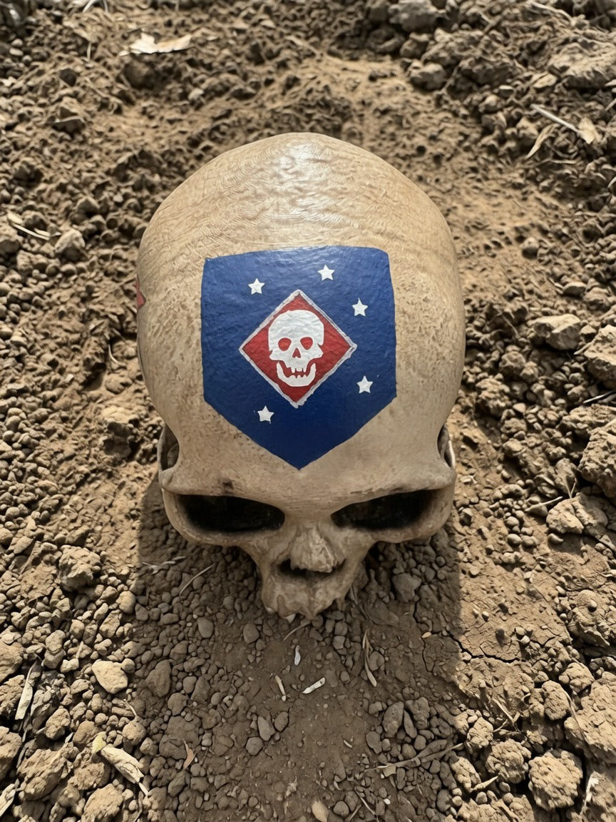 Carlson's Raiders Skull