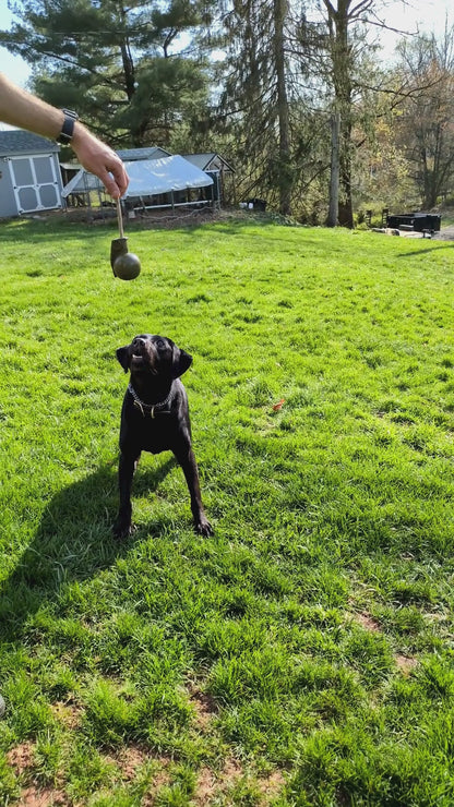 The Boom Ball Rubber Dog Chew Toy